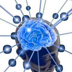 cerebro