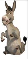 burro